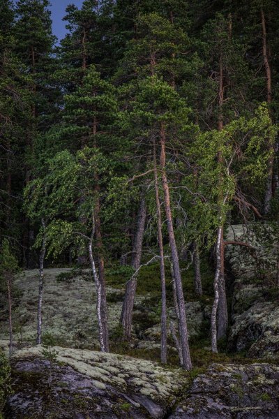 Savonlinna VI