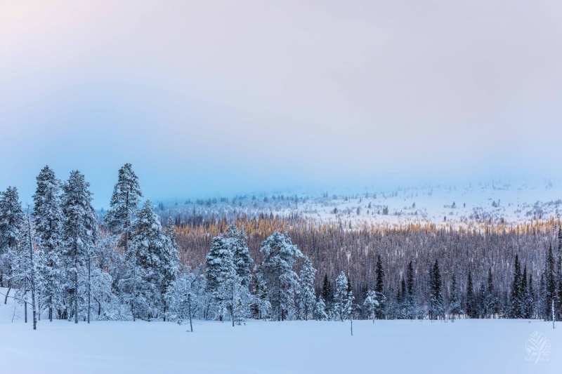 Lappland-2022-web-Galerie-17