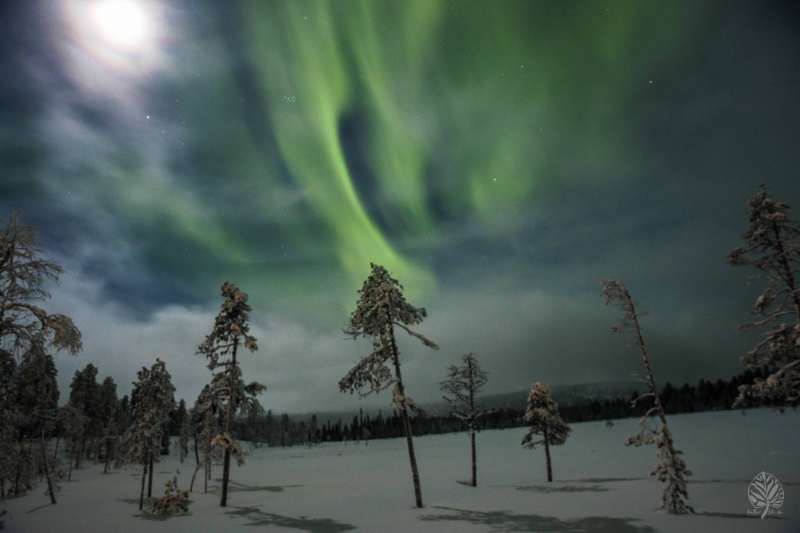 Lappland-2022-web-Galerie-19