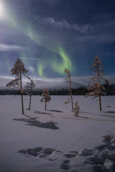 Lappland-2022-web-Galerie-41