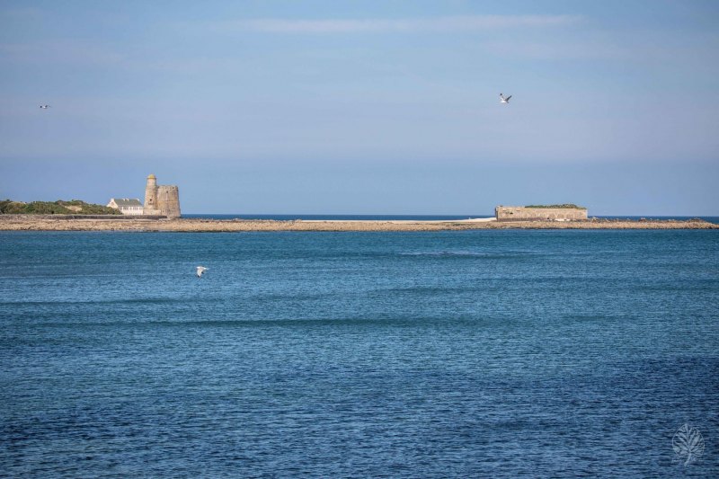Normandie-2021-klein-473