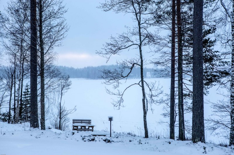 Hyvää Joulua Part 30.12 -7