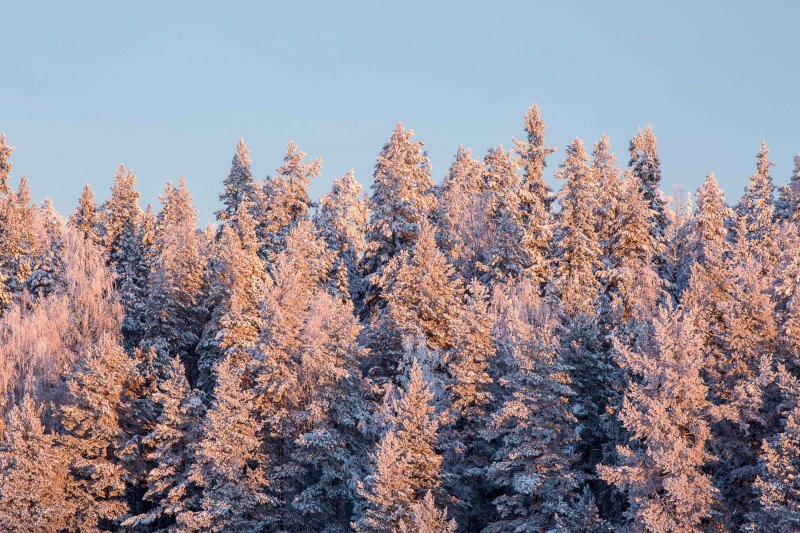 Hyvää Joulua Part 31.12 web-7